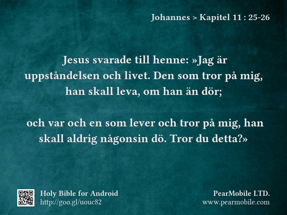 Johannes, Kapitel 11:25-26